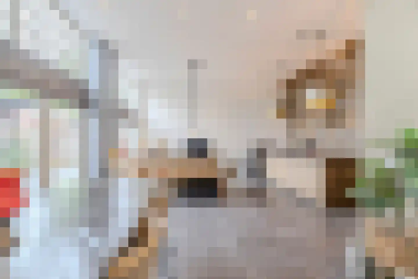 Koestraat 52 b Geertruidenberg thumbnail 10