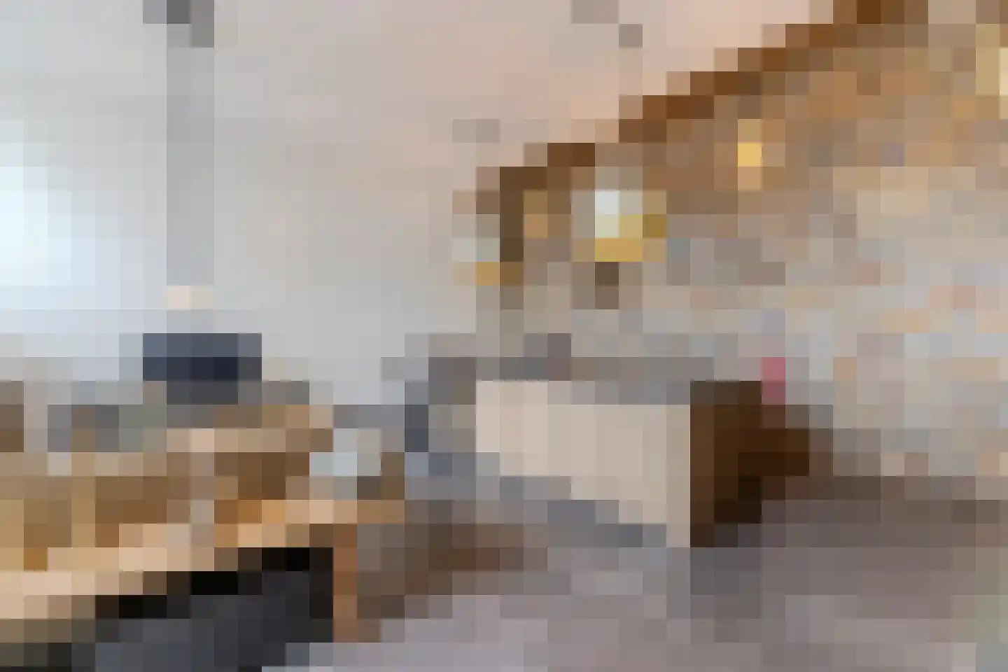 Koestraat 52 b Geertruidenberg thumbnail 12