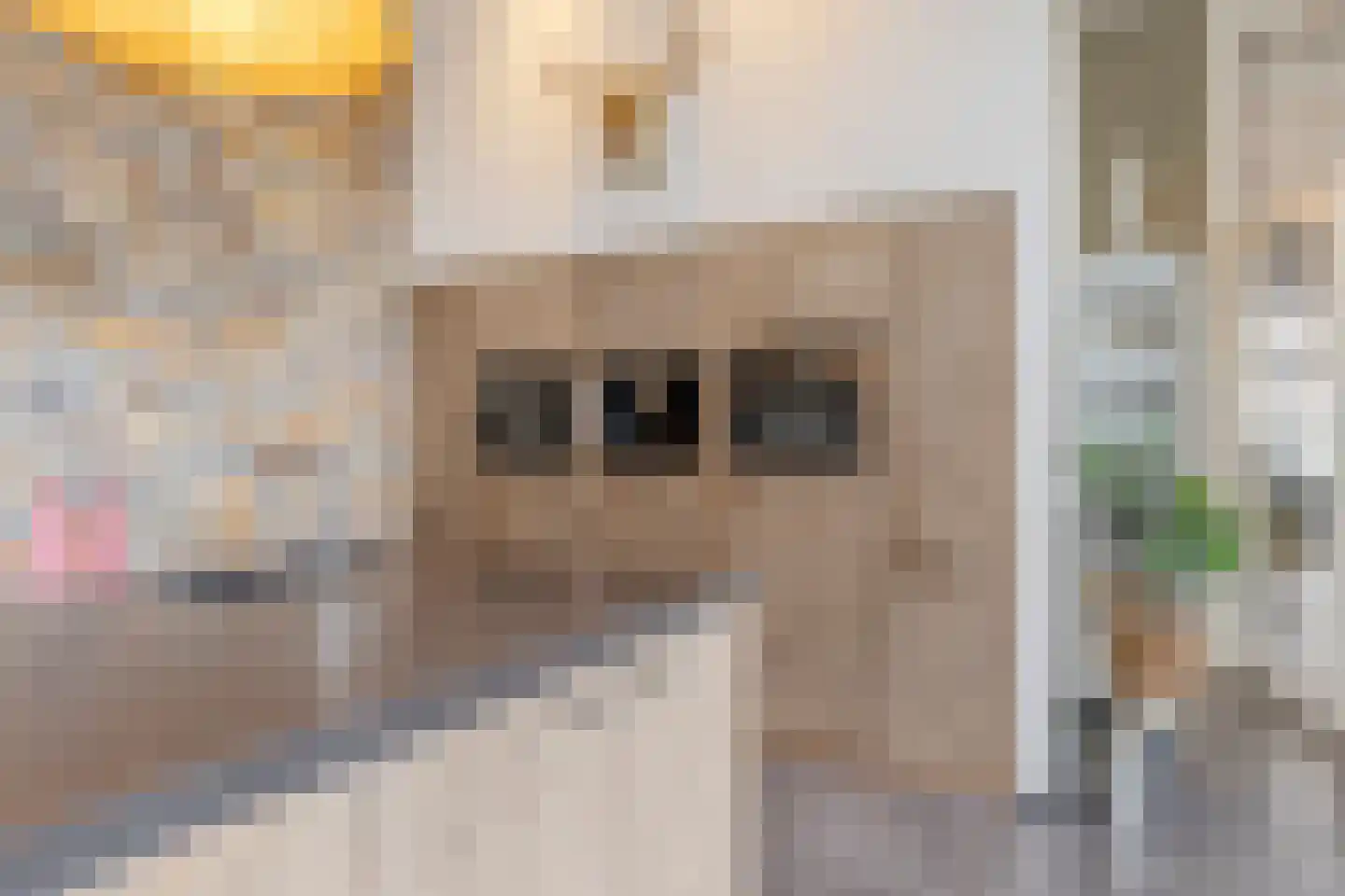 Koestraat 52 b Geertruidenberg thumbnail 13