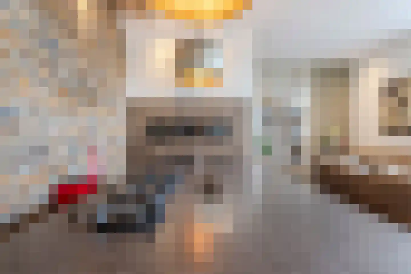 Koestraat 52 b Geertruidenberg thumbnail 14