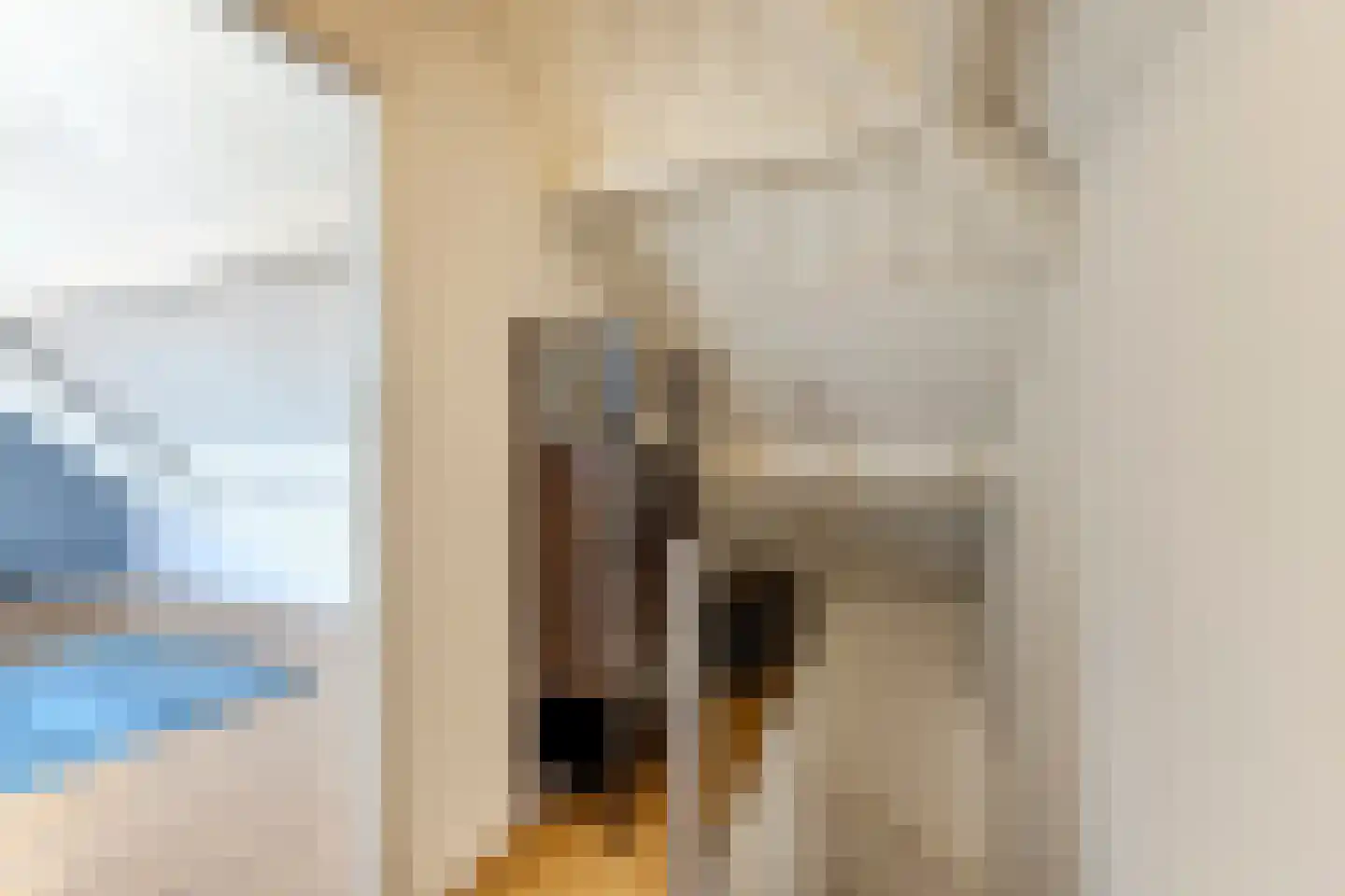 Koestraat 52 b Geertruidenberg thumbnail 32