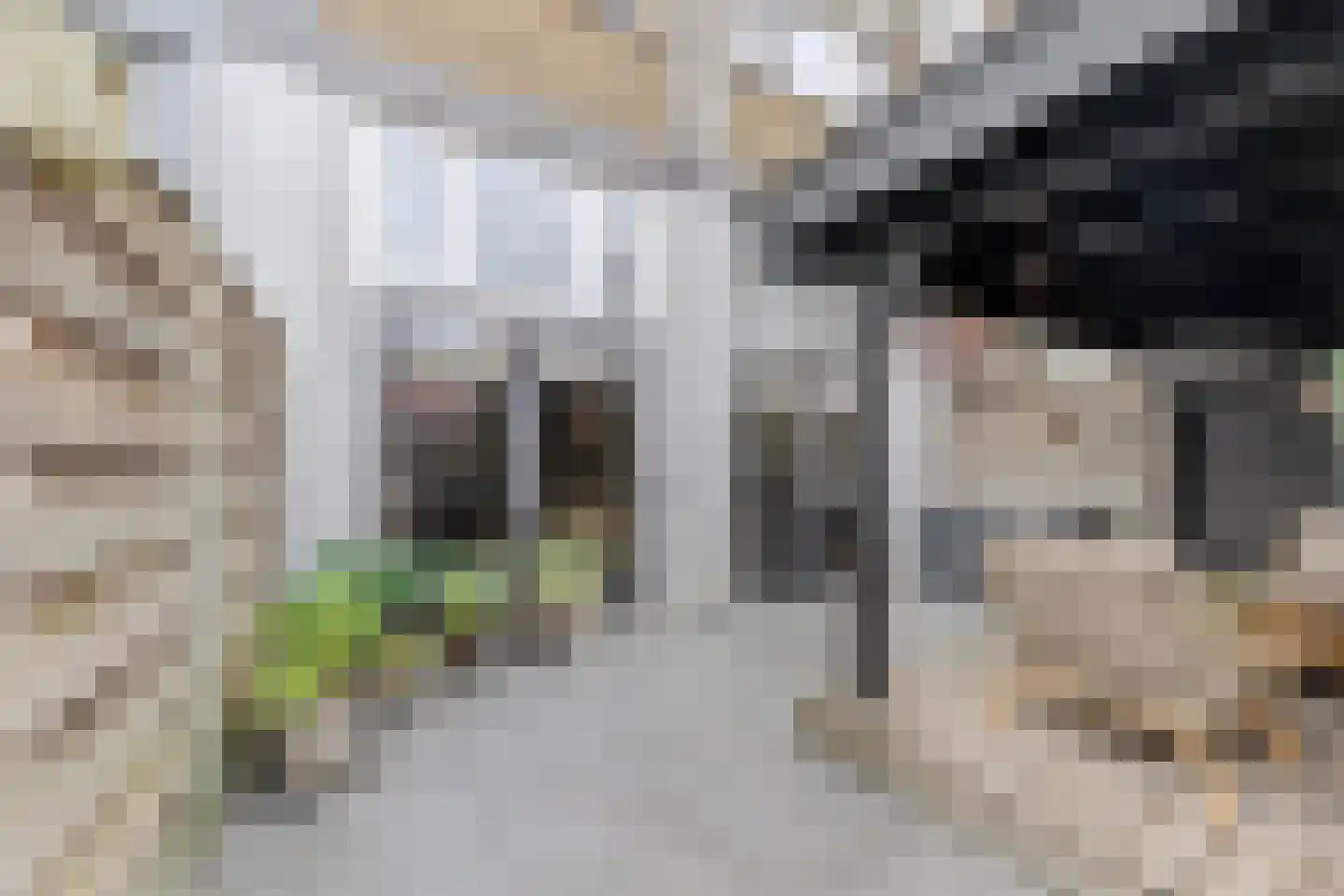 Koestraat 52 b Geertruidenberg thumbnail 39