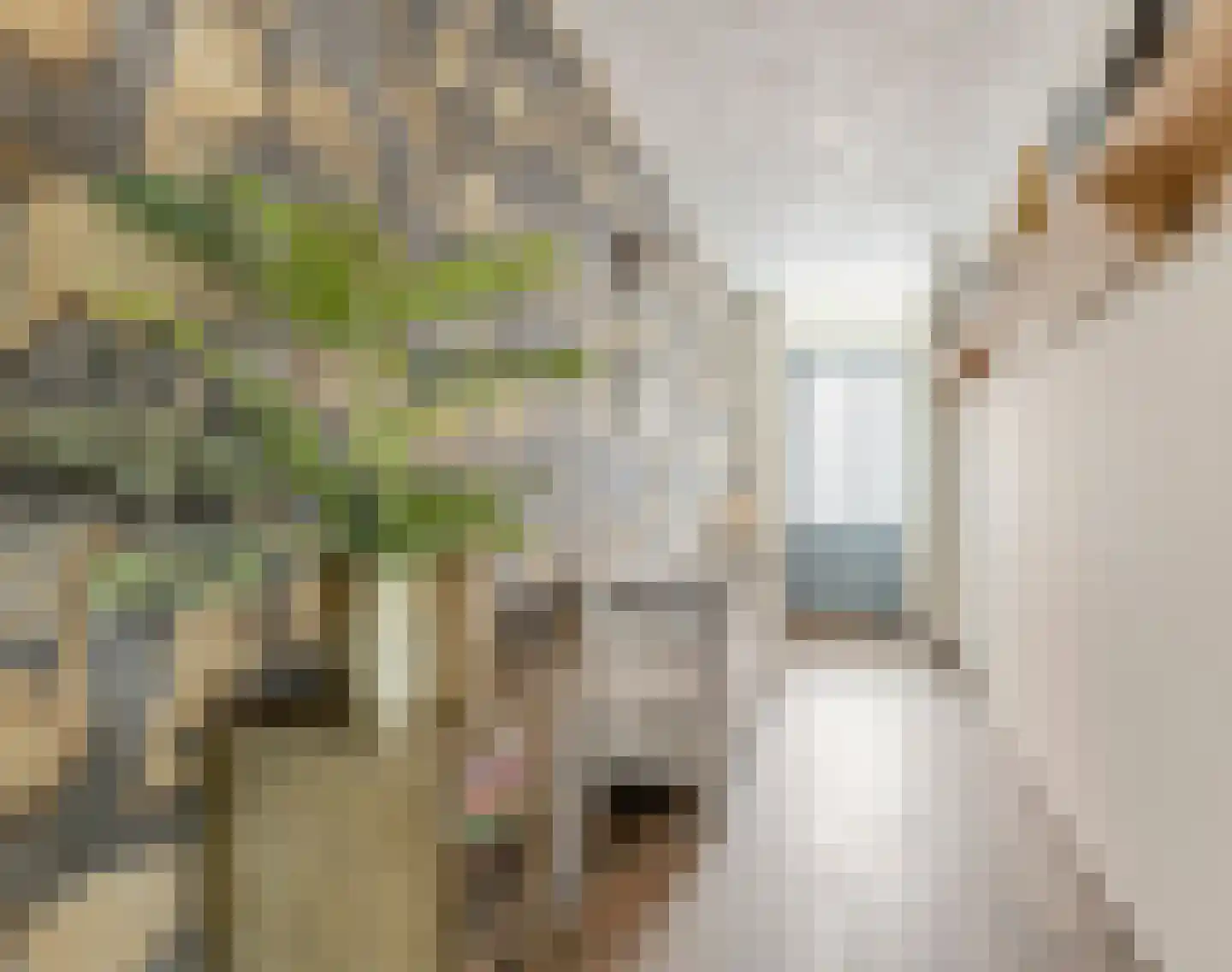 Koestraat 52 b Geertruidenberg thumbnail 4