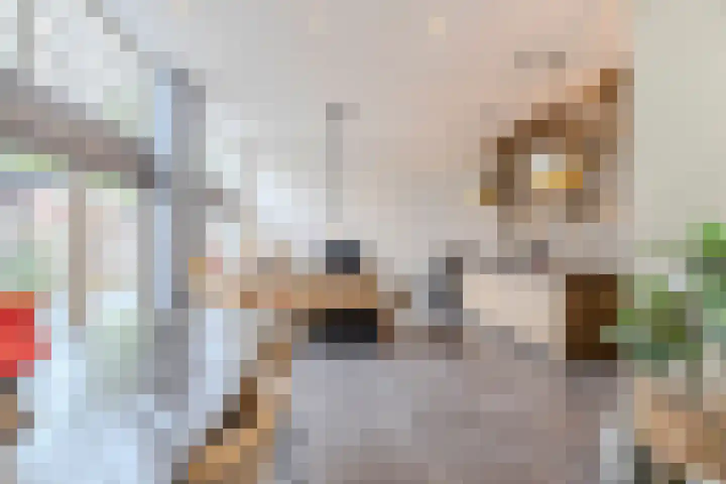 Koestraat 52 b Geertruidenberg thumbnail 4