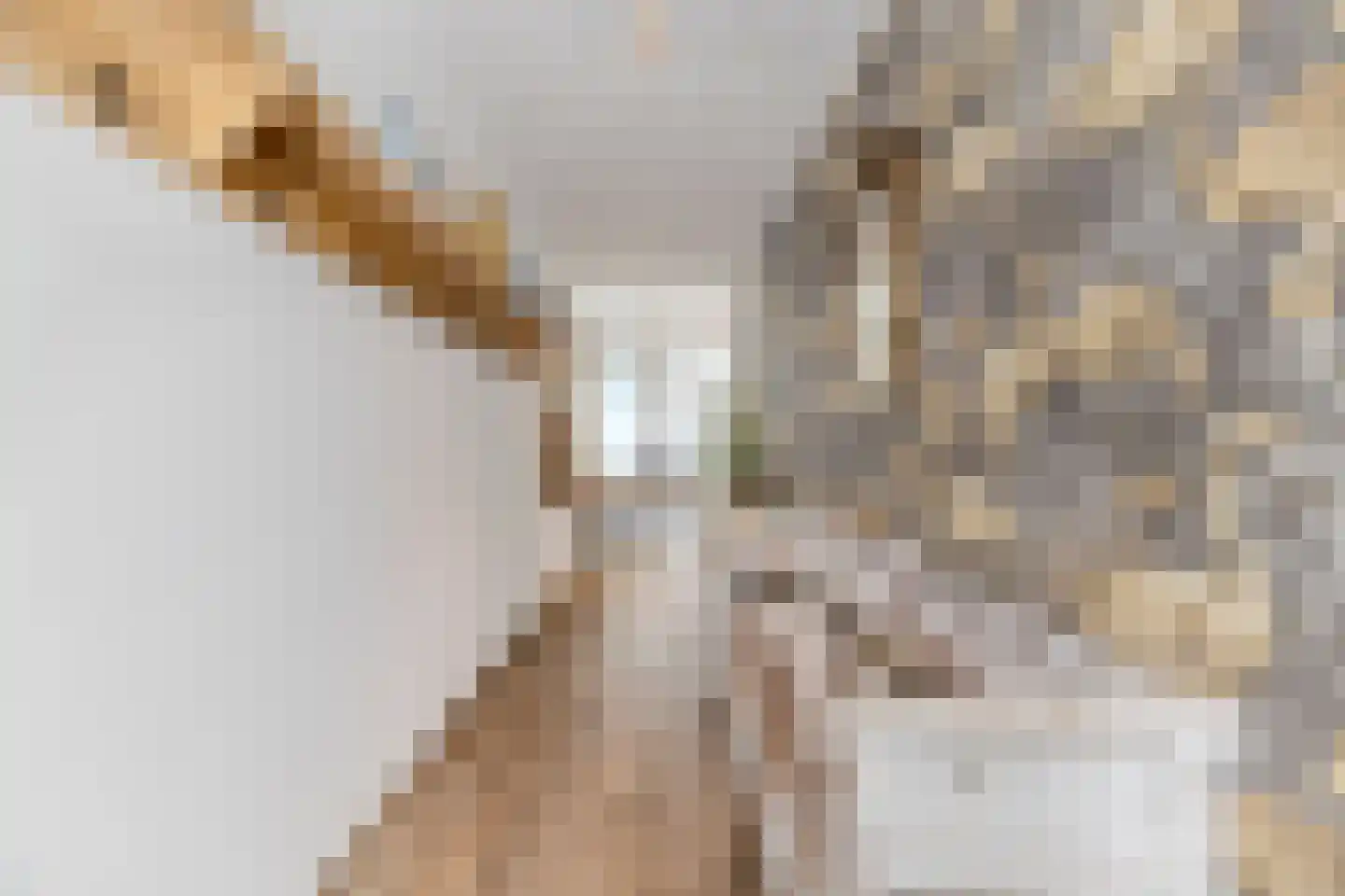 Koestraat 52 b Geertruidenberg thumbnail 5