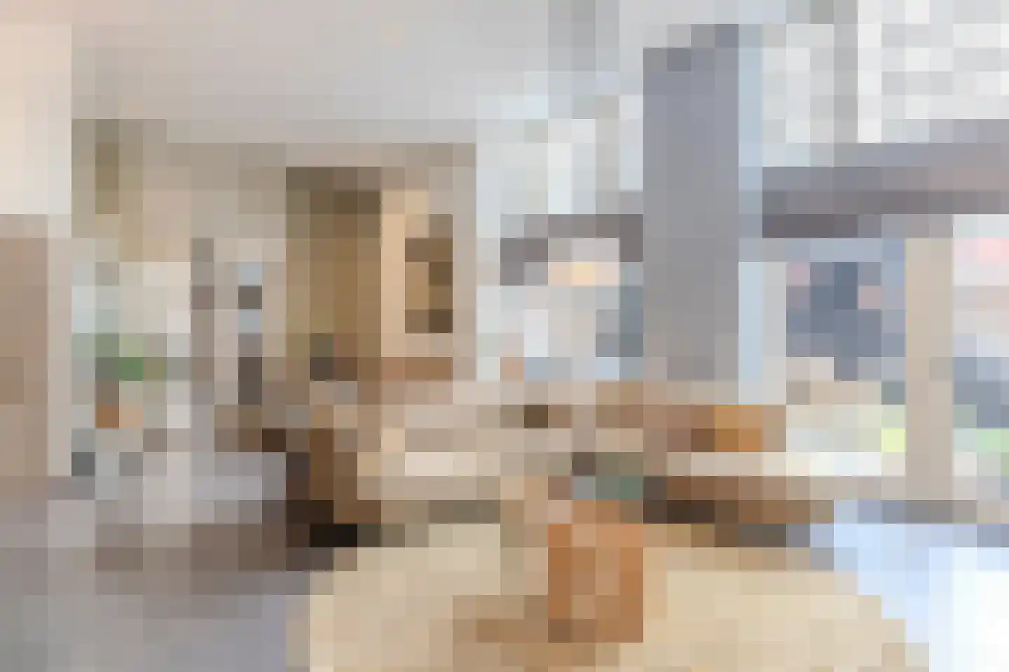 Koestraat 52 b Geertruidenberg thumbnail 6