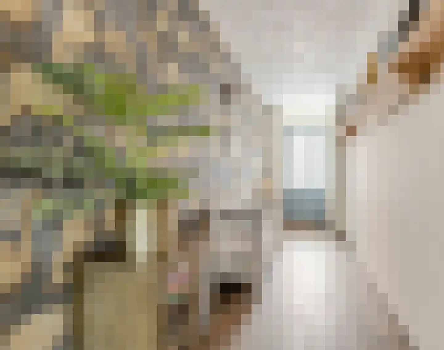 Koestraat 52 b Geertruidenberg thumbnail 8