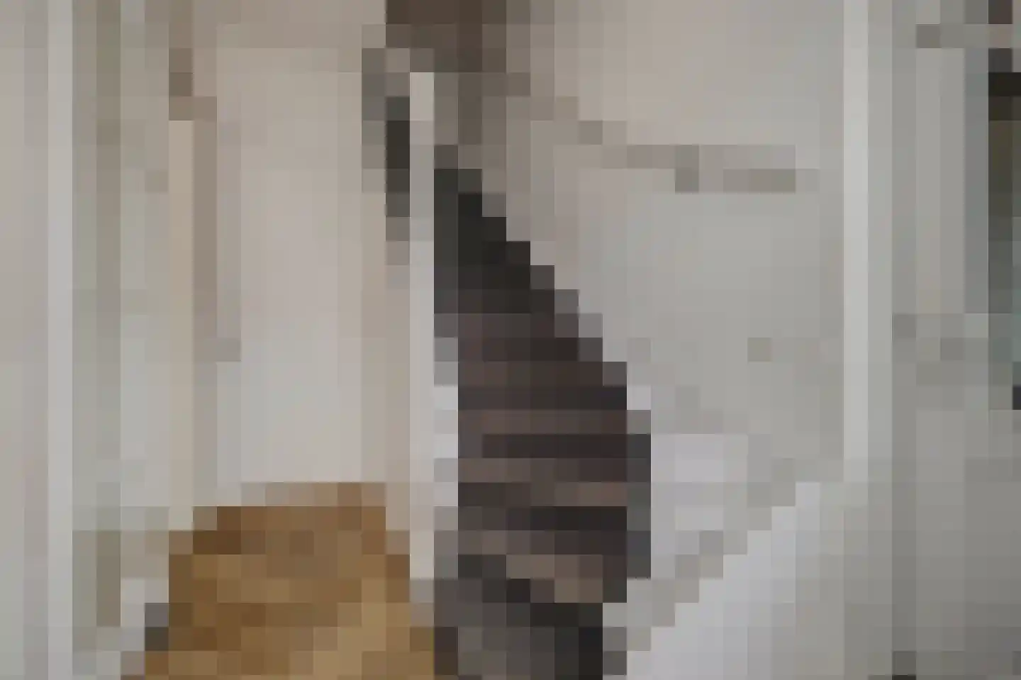 Koestraat 52 Geertruidenberg thumbnail 11