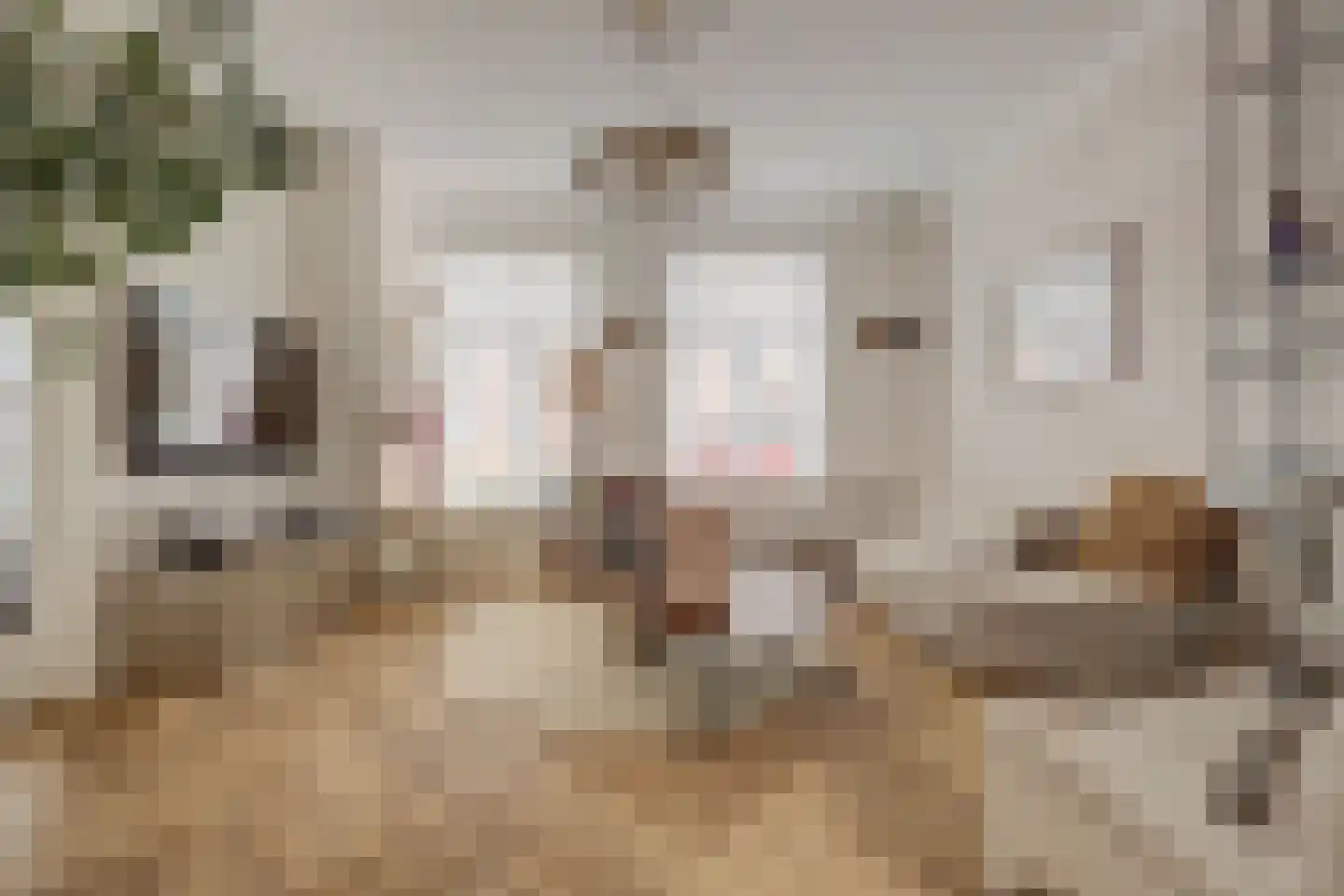 Koestraat 52 Geertruidenberg thumbnail 18