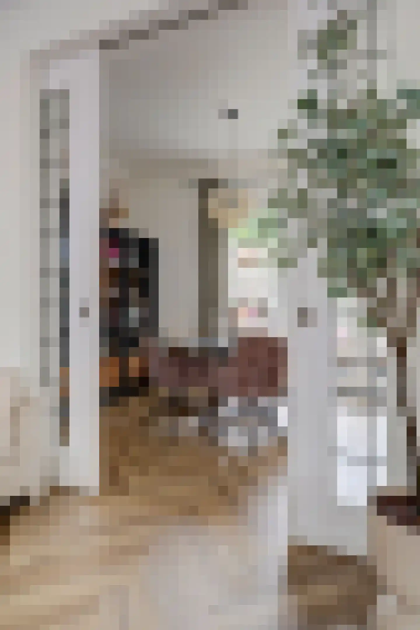Koestraat 52 Geertruidenberg thumbnail 20