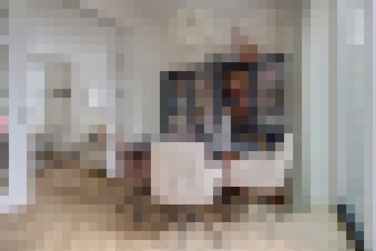 Koestraat 52 Geertruidenberg thumbnail 27