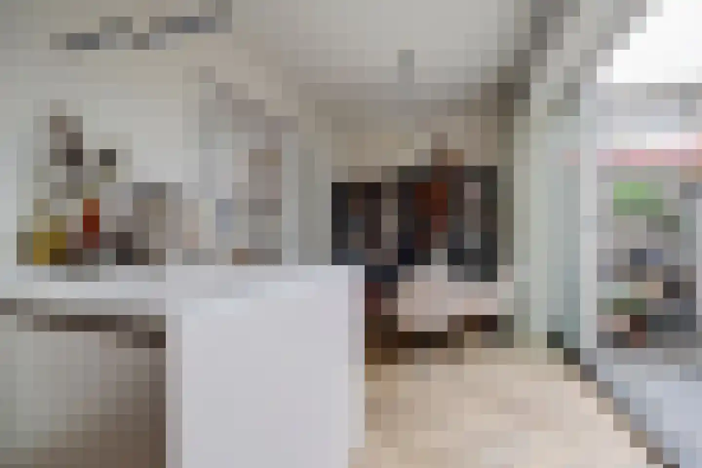Koestraat 52 Geertruidenberg thumbnail 28