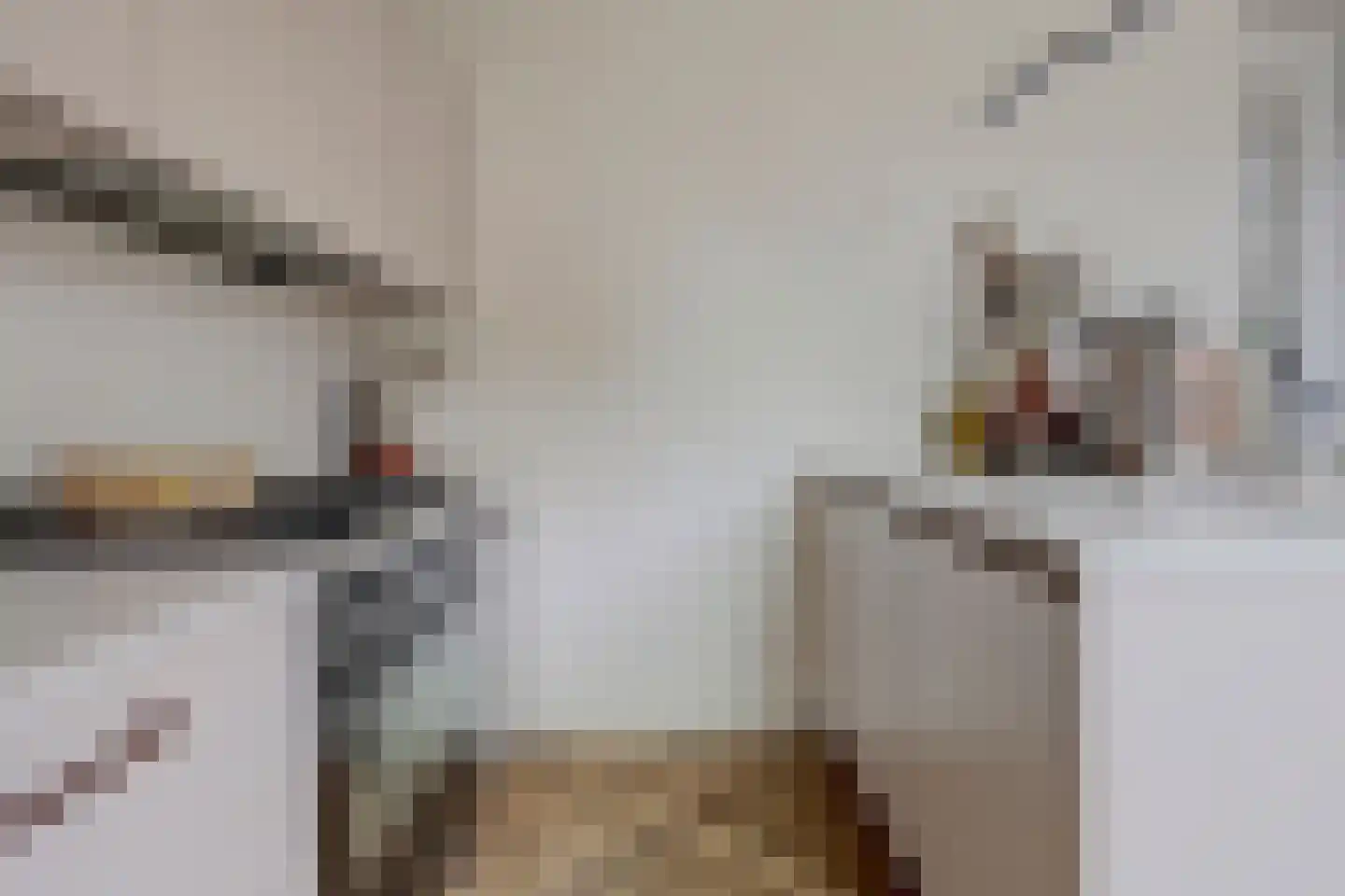 Koestraat 52 Geertruidenberg thumbnail 29