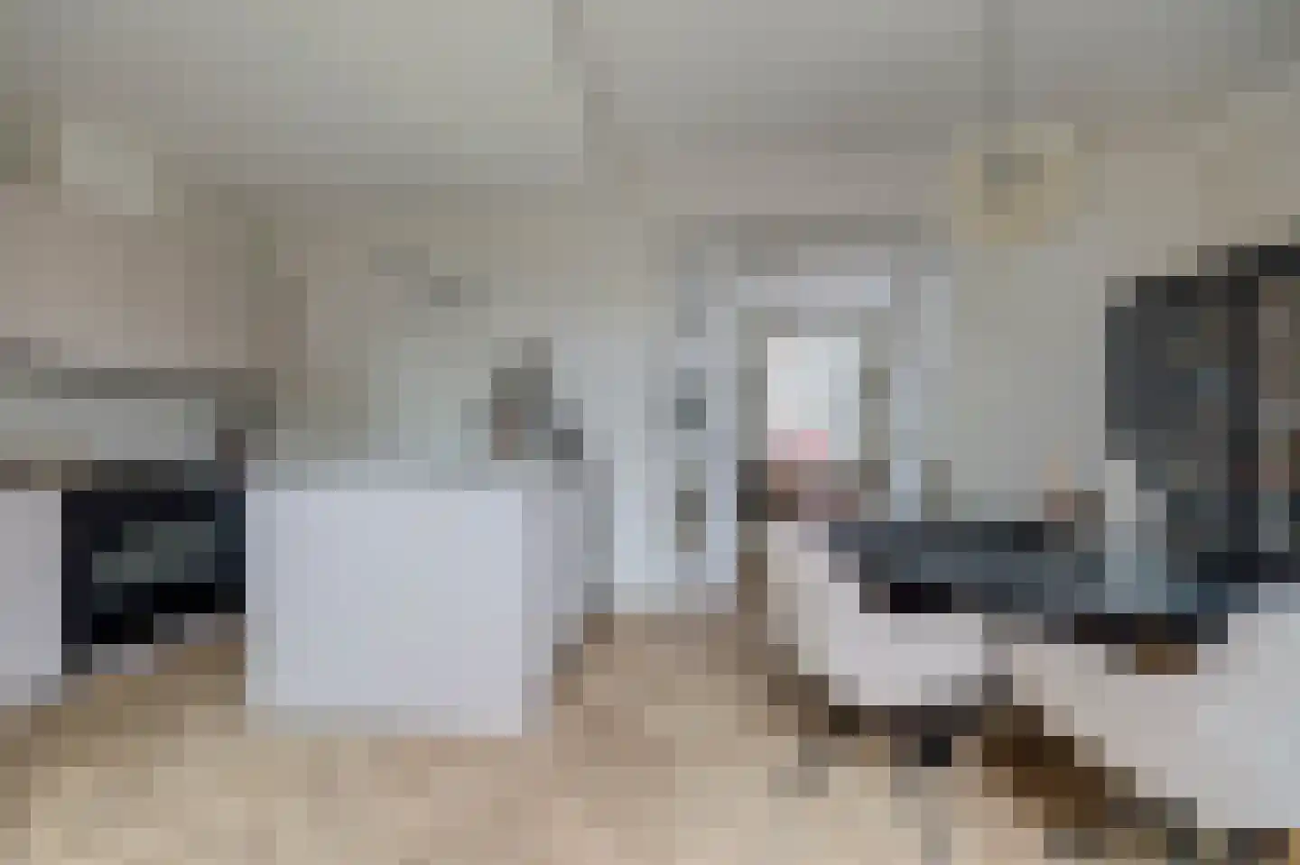 Koestraat 52 Geertruidenberg thumbnail 32