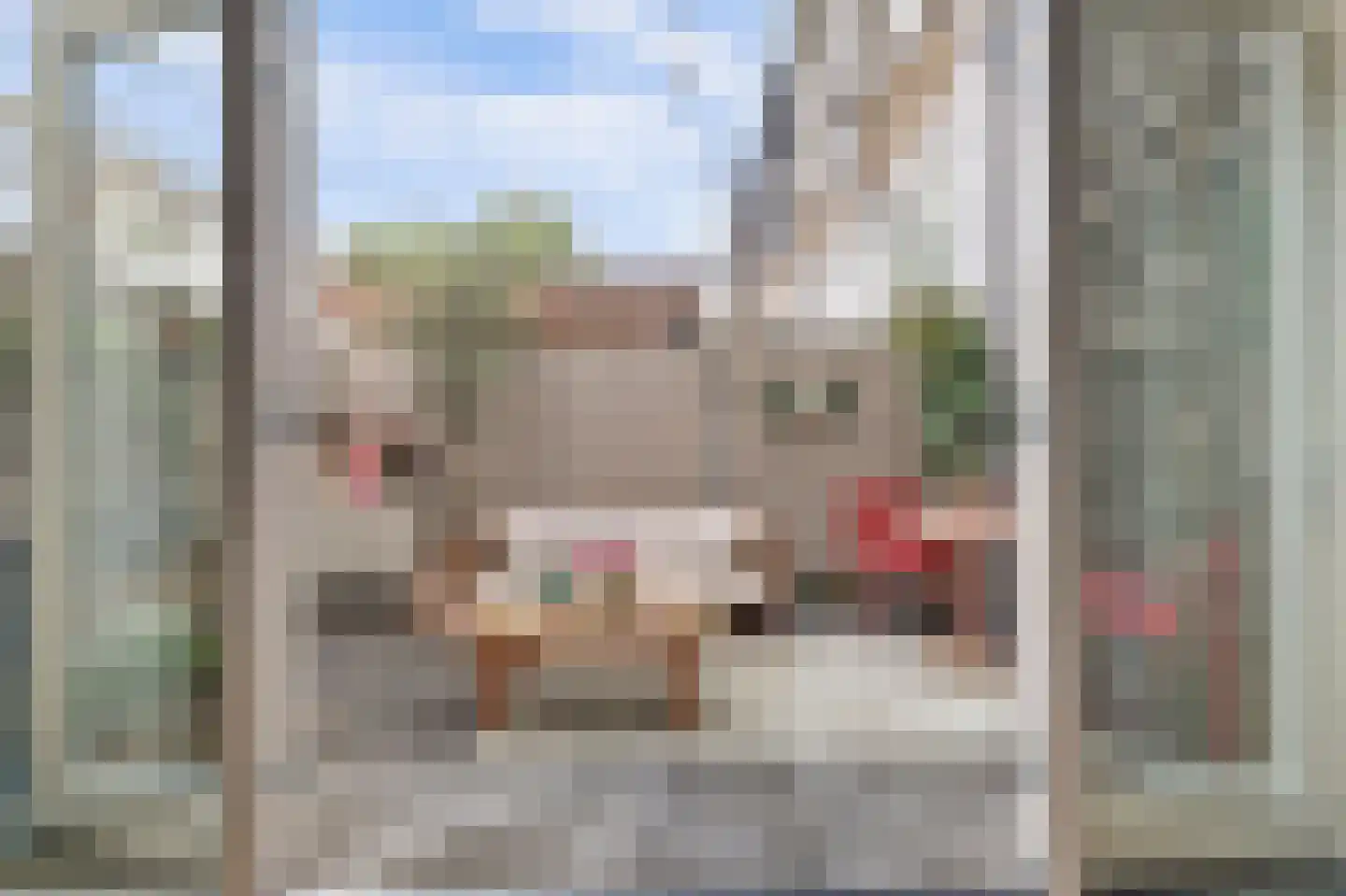 Koestraat 52 Geertruidenberg thumbnail 33