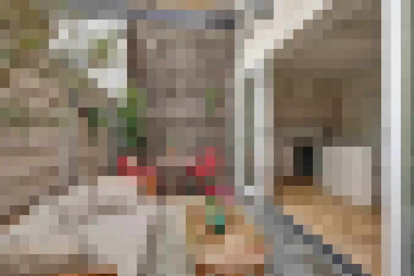 Koestraat 52 Geertruidenberg thumbnail 34
