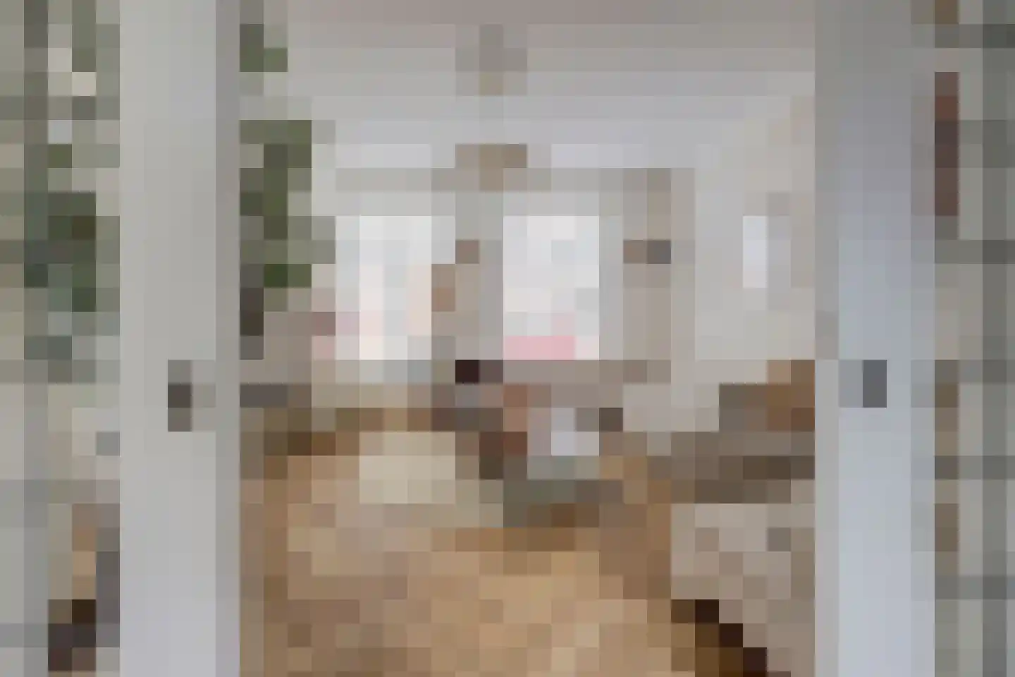 Koestraat 52 Geertruidenberg thumbnail 4