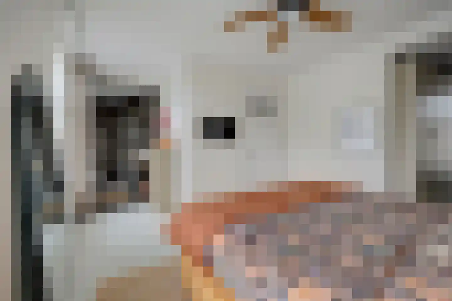 Koestraat 52 Geertruidenberg thumbnail 45