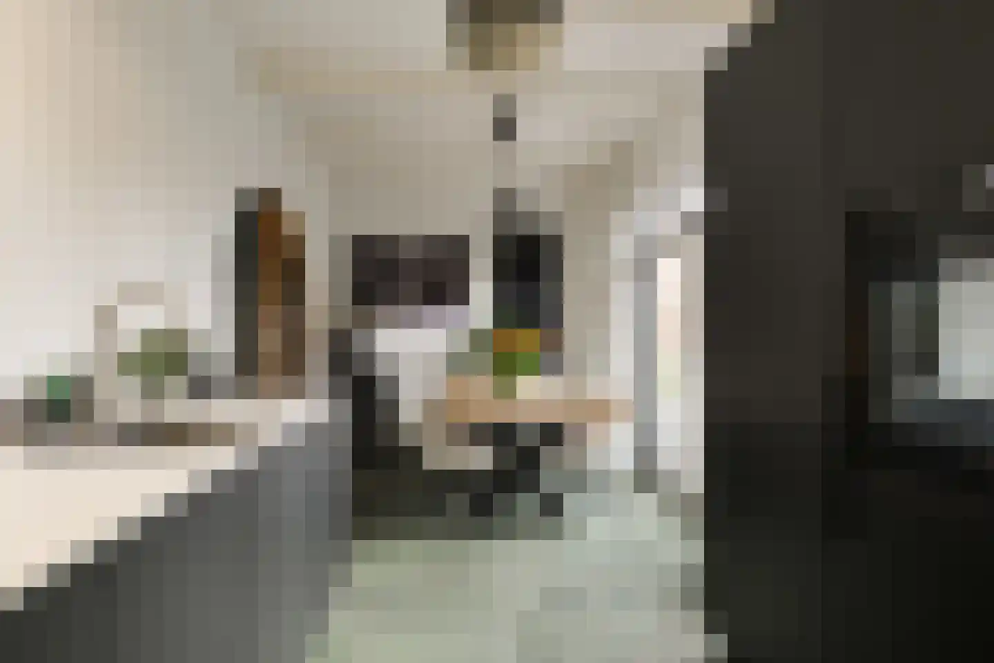 Koestraat 55 Rijnsburg thumbnail 17
