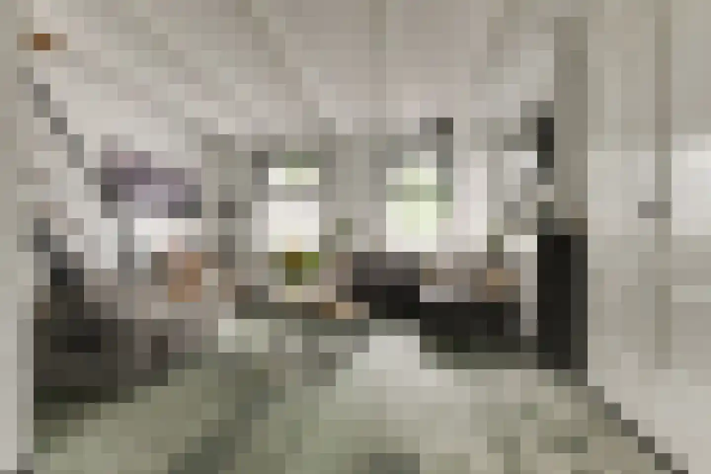 Koestraat 55 Rijnsburg thumbnail 19