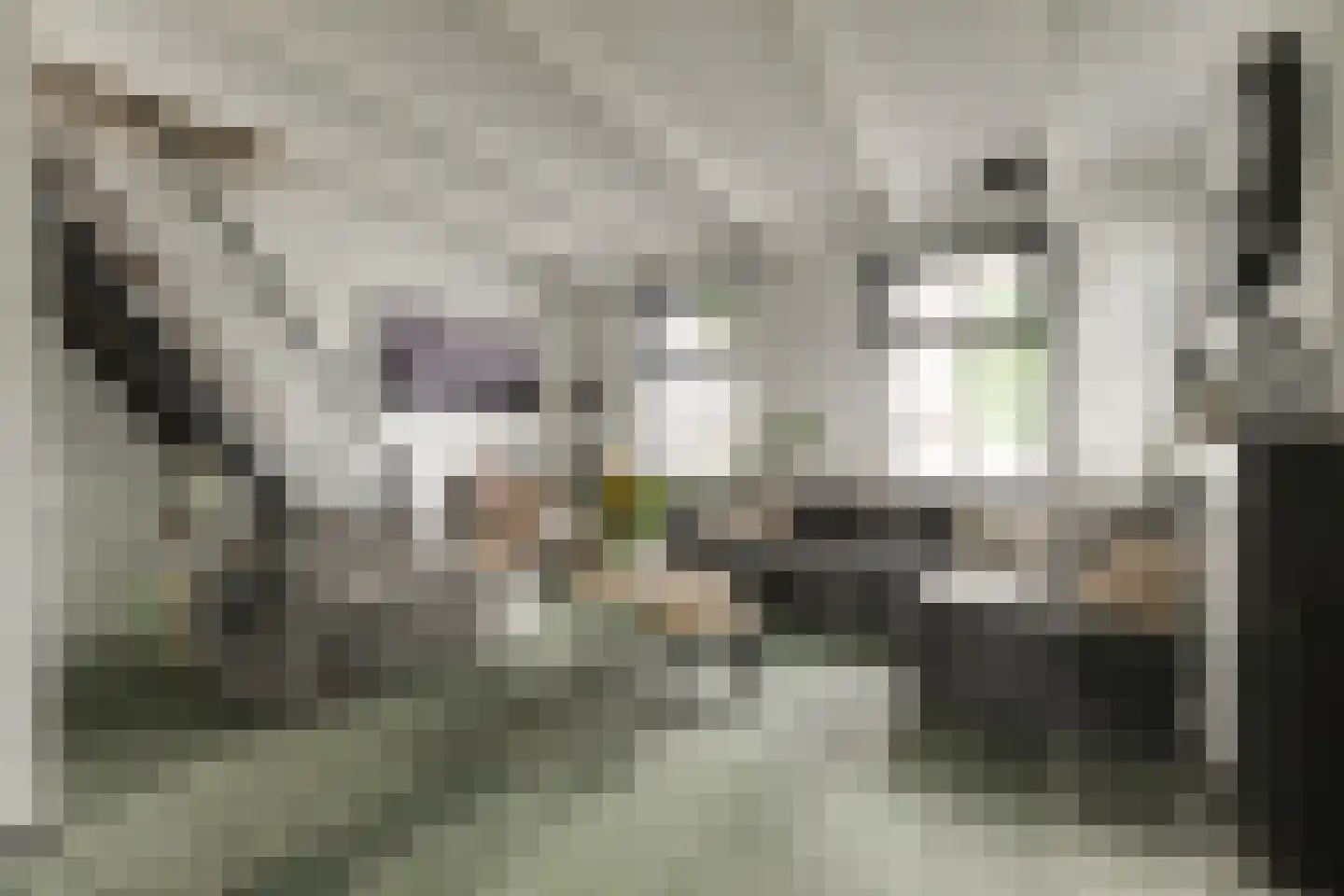 Koestraat 55 Rijnsburg thumbnail 20