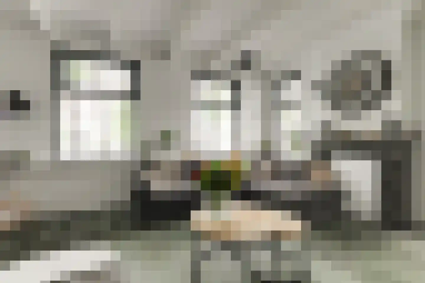 Koestraat 55 Rijnsburg thumbnail 21