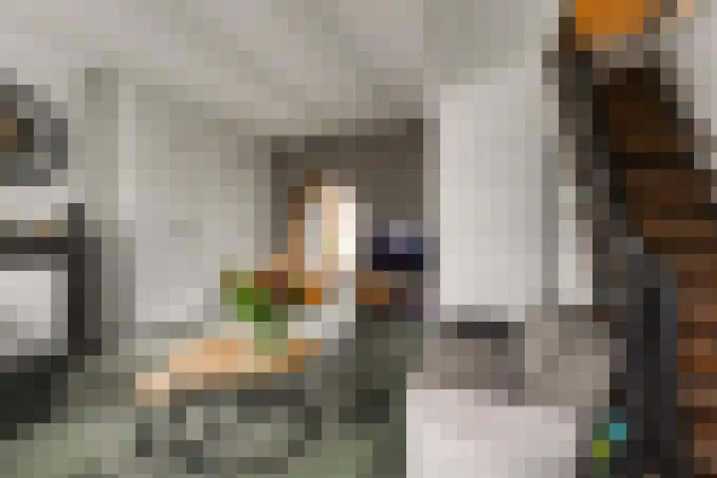 Koestraat 55 Rijnsburg thumbnail 24