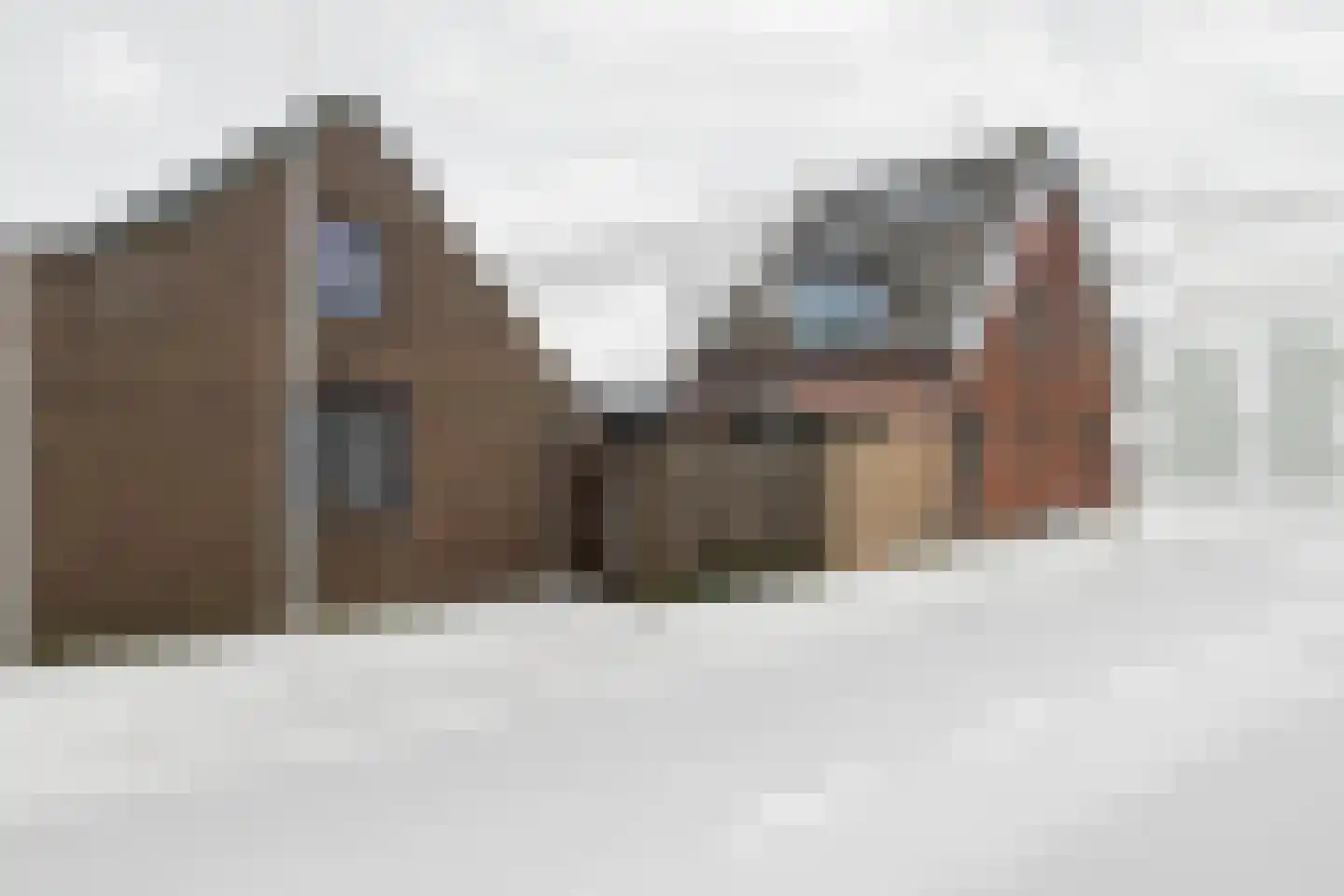 Koestraat 55 Rijnsburg thumbnail 39
