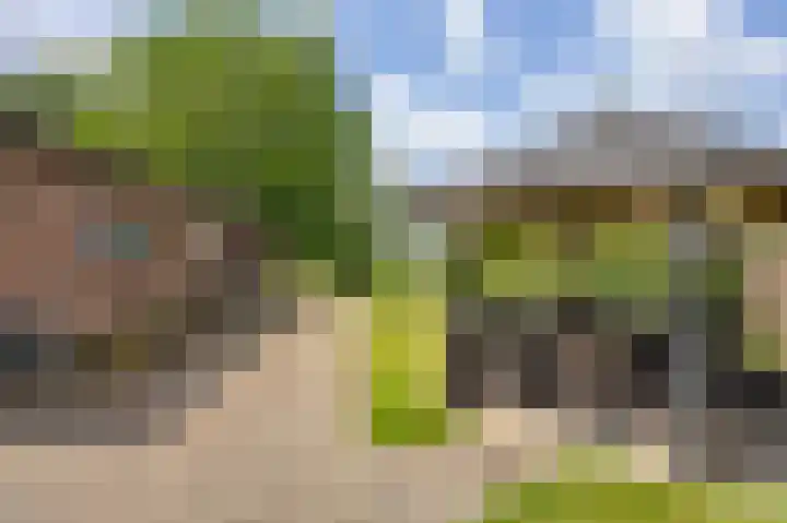 Koestraat 57 Koningsbosch thumbnail 7