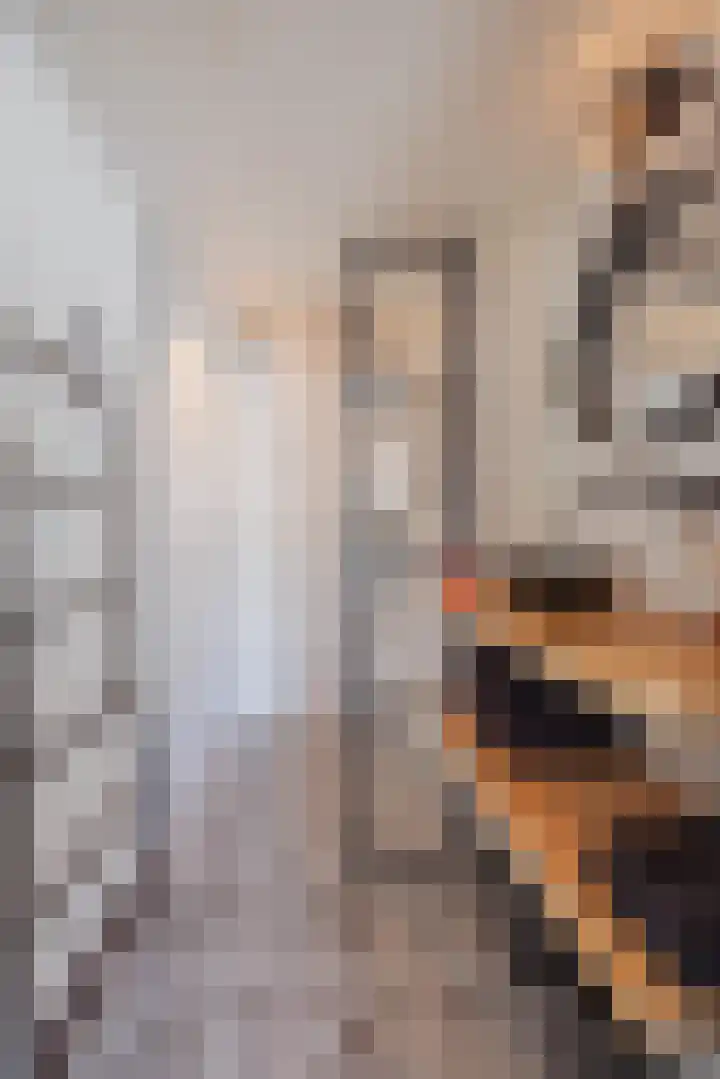 Koestraat 6 Geertruidenberg thumbnail 27