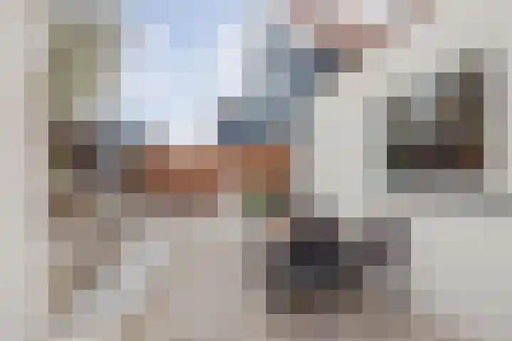 Koestraat 6 Geertruidenberg thumbnail 37