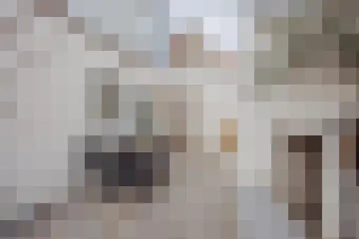 Koestraat 6 Geertruidenberg thumbnail 39
