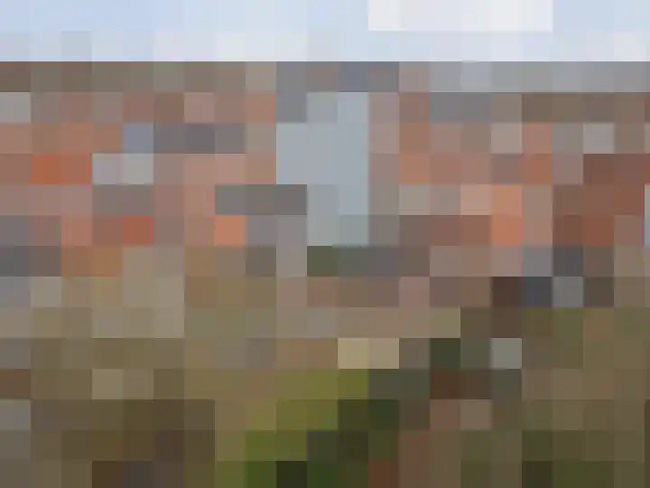 Koestraat 6 Geertruidenberg thumbnail 44