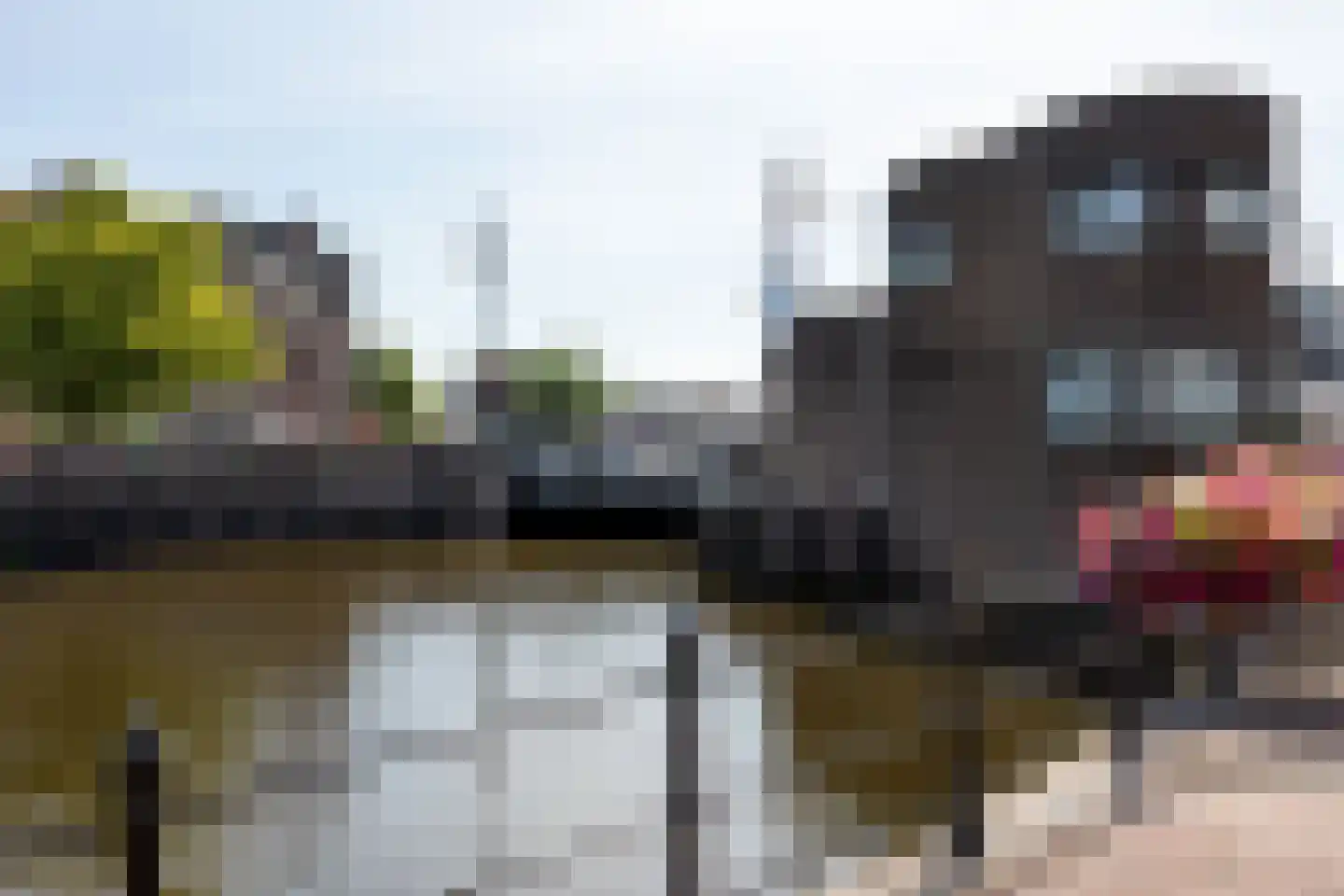 Koestraat 6 Leiden thumbnail 18