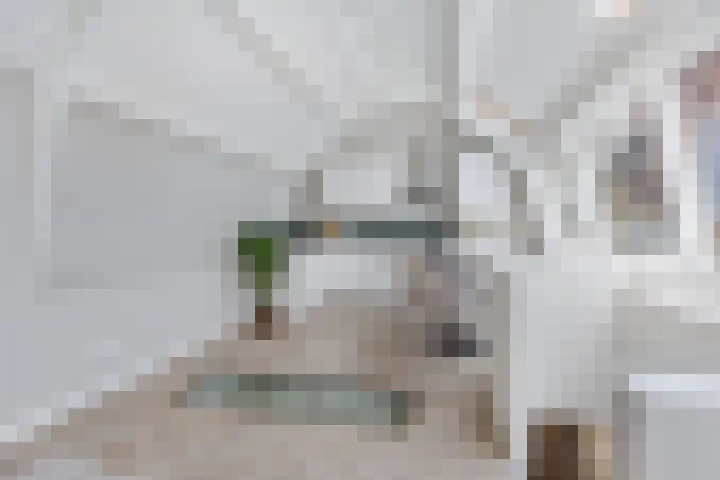 Koestraat 6 Leiden thumbnail 5