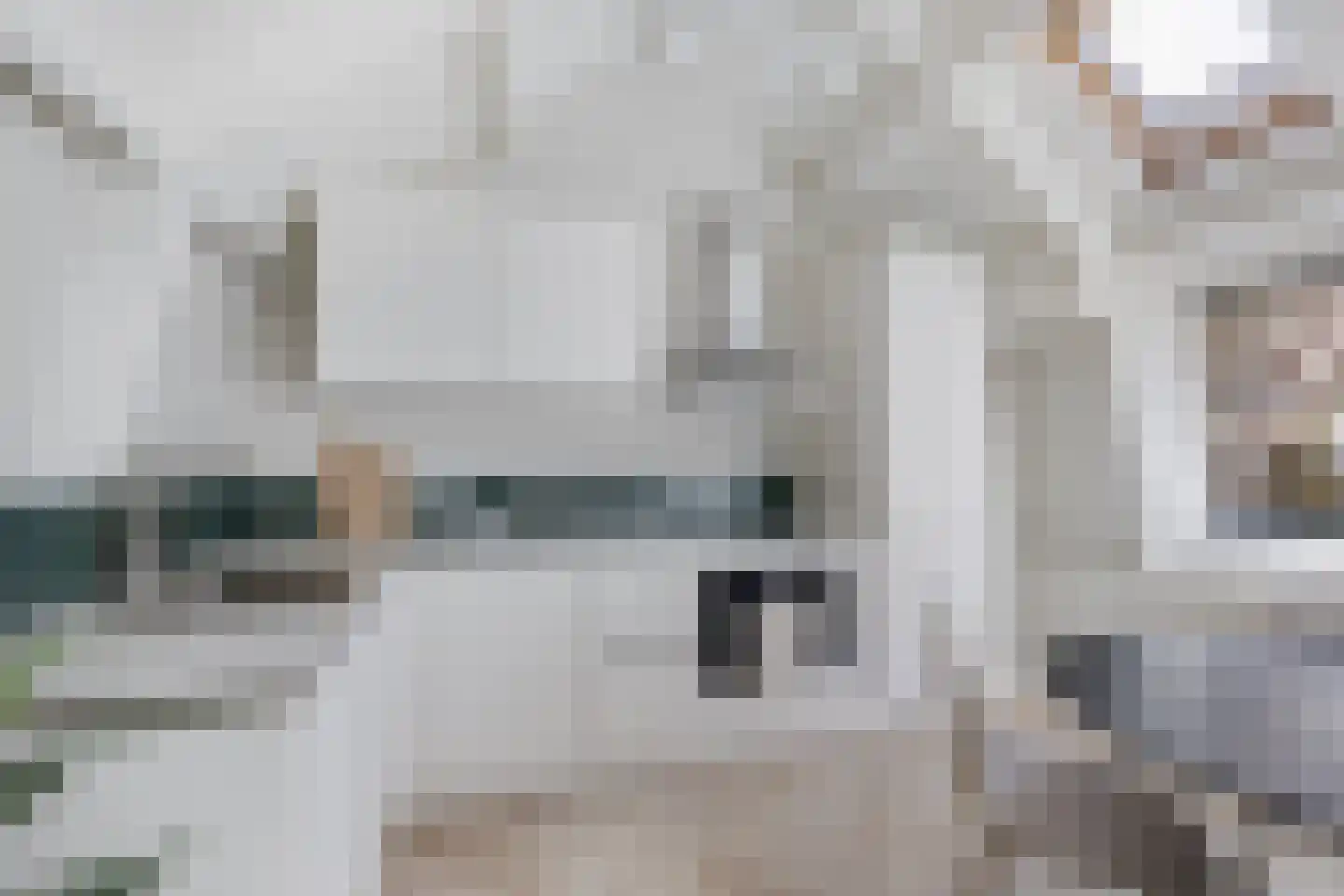 Koestraat 6 Leiden thumbnail 7