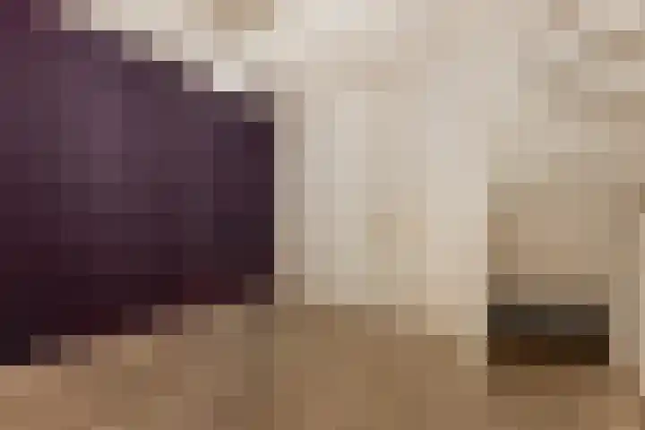 Koestraat 6 Leiden thumbnail 8
