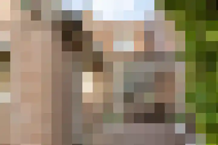 Koestraat 6 Oirschot thumbnail 29