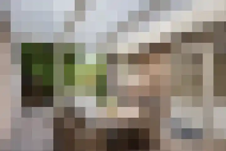 Koestraat 6 Oirschot thumbnail 30