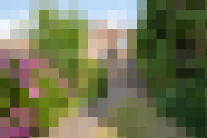 Koestraat 6 Oirschot thumbnail 31