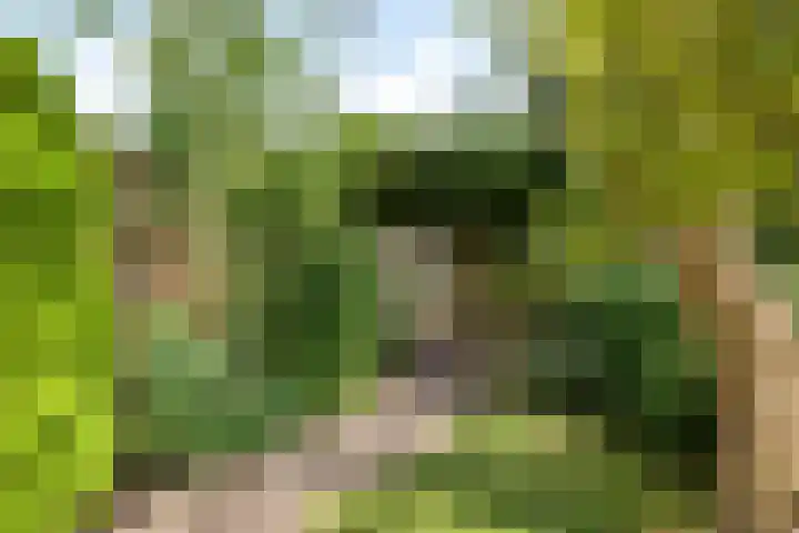 Koestraat 6 Oirschot thumbnail 33