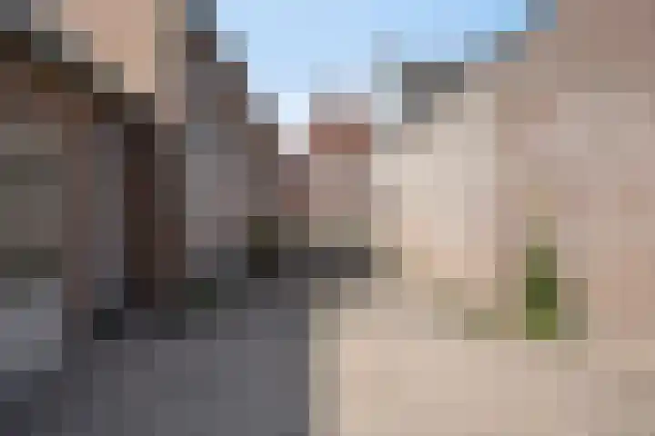 Koestraat 6 Oirschot thumbnail 40