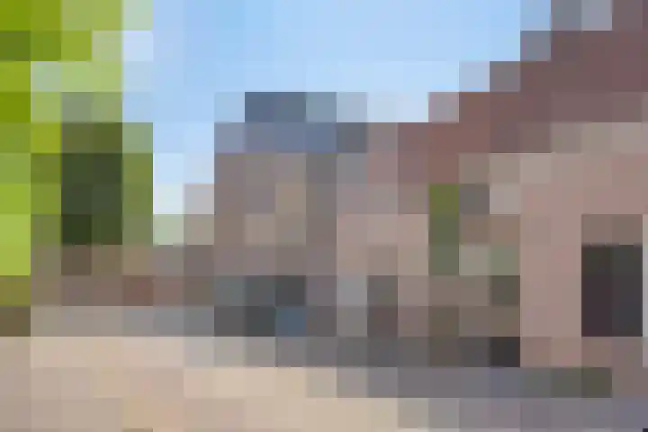 Koestraat 6 Oirschot thumbnail 44