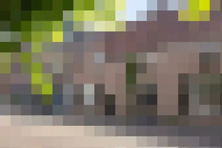 Koestraat 6 Oirschot thumbnail 5