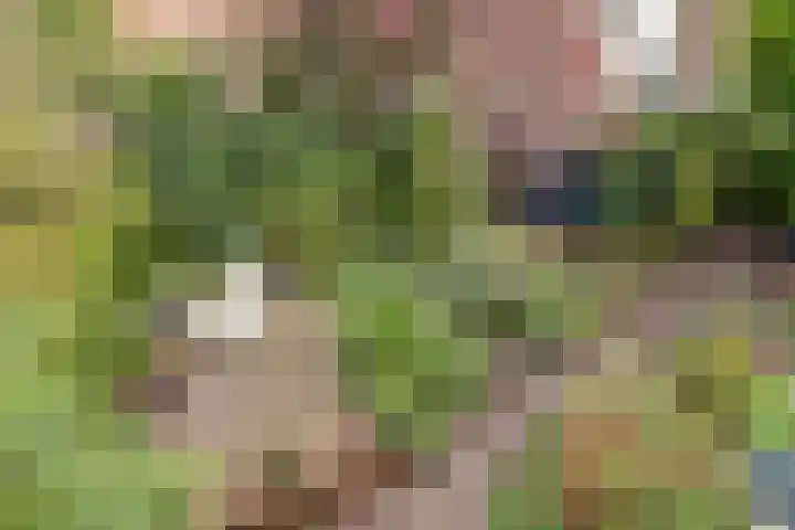 Koestraat 6 Vianen thumbnail 38
