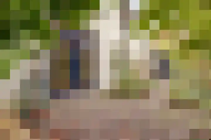 Koestraat 6 Vianen thumbnail 39