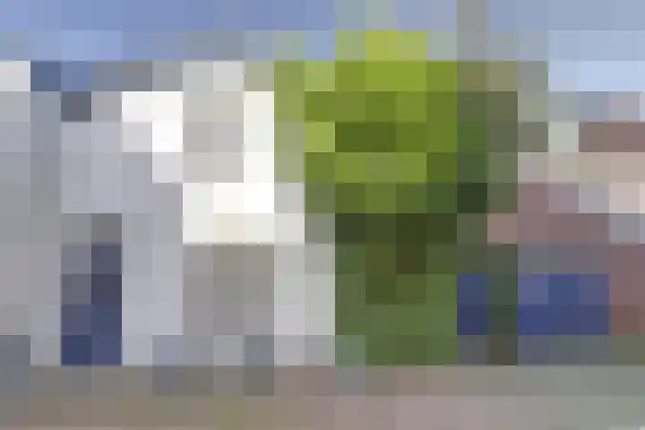 Koestraat 6 Vianen thumbnail 4