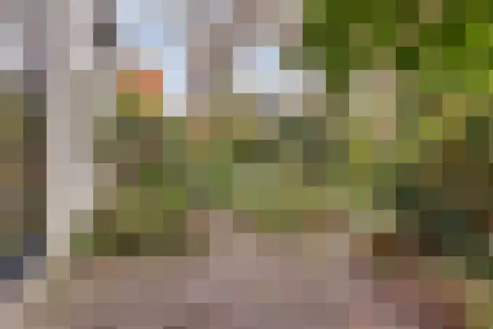 Koestraat 6 Vianen thumbnail 42