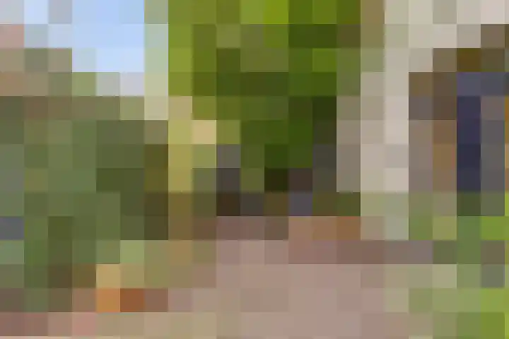 Koestraat 6 Vianen thumbnail 43