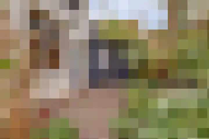 Koestraat 6 Vianen thumbnail 44